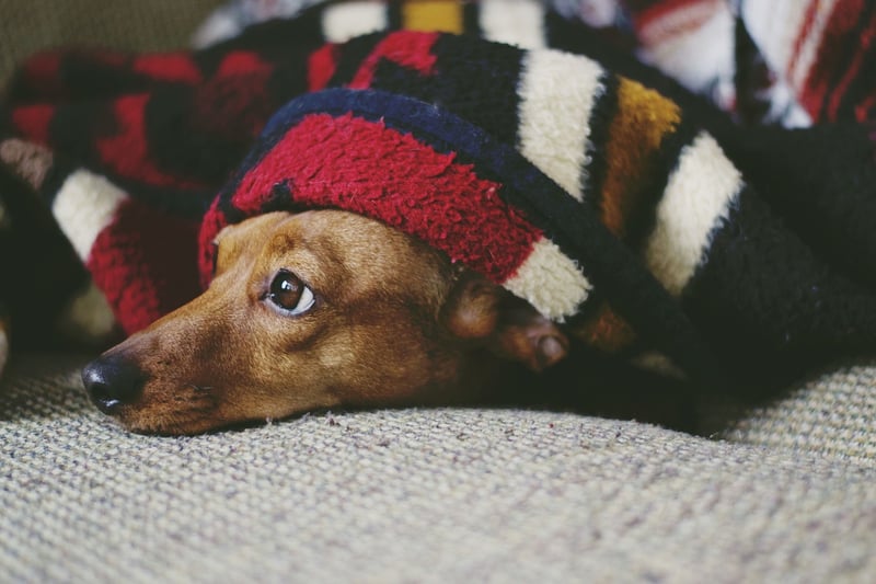 Cozy Textiles